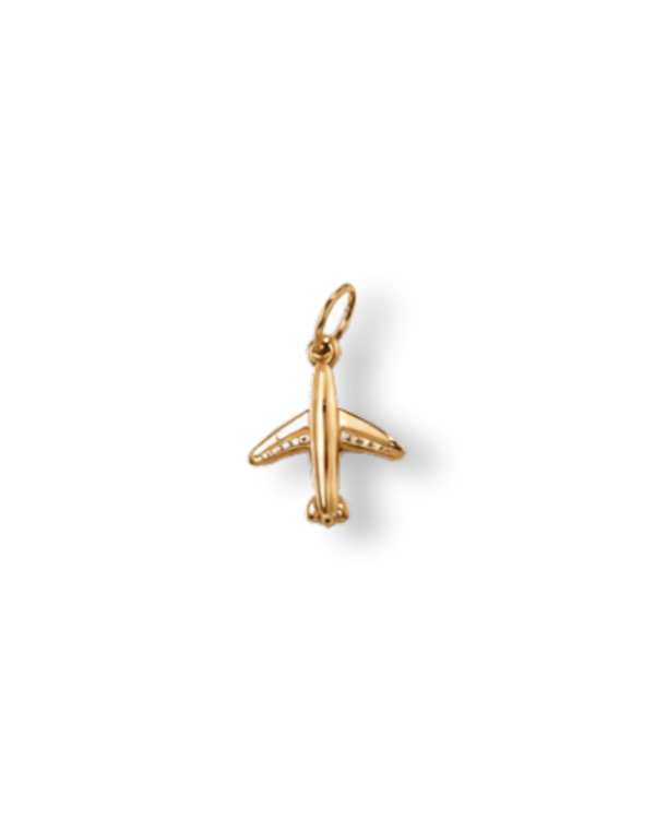 Premium Charms