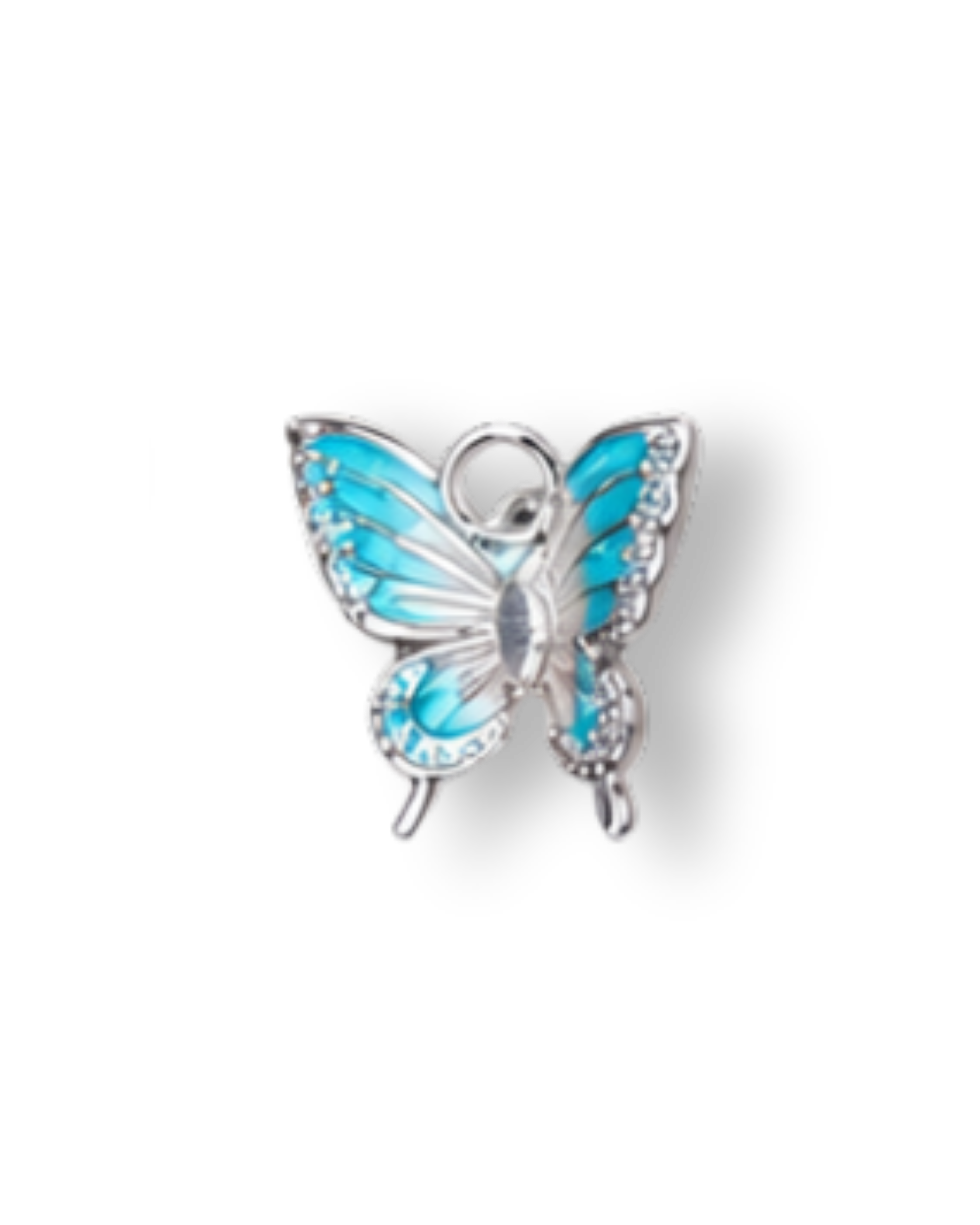 Premium Charms