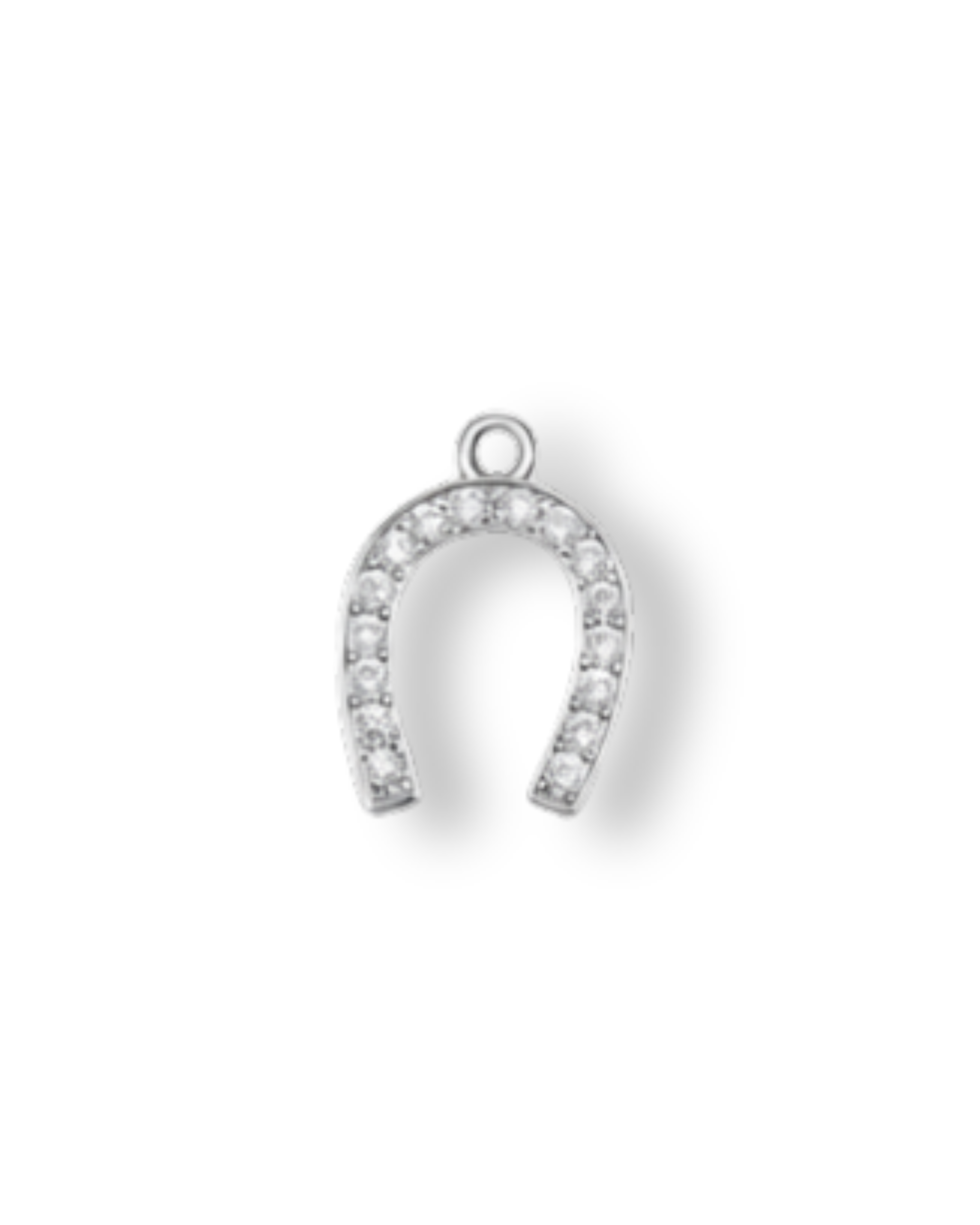 Premium Charms
